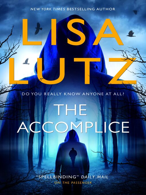 Title details for The Accomplice by Lisa Lutz - Wait list
